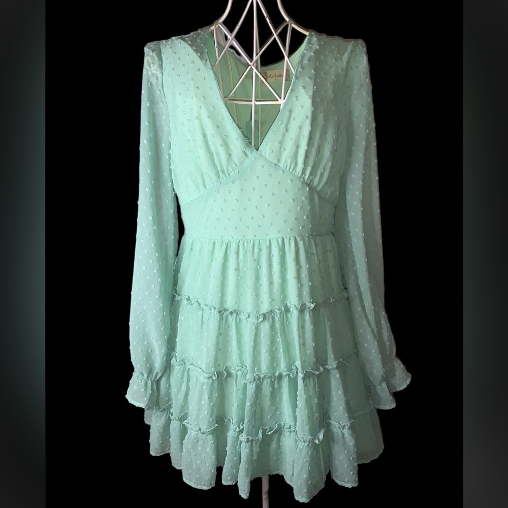 NWOT ALTAR’D STATE LONG SLEEVE SWISS DOT DRESS